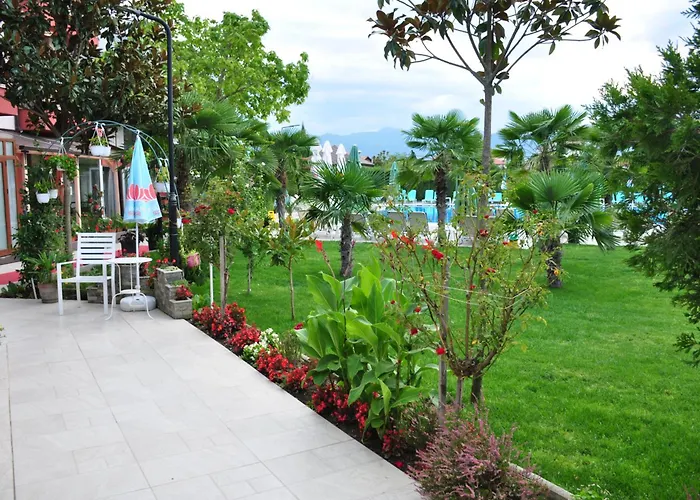 酒店 典雅温泉酒店 3*