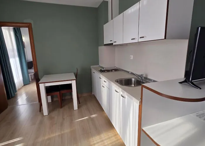 典雅温泉酒店 3*