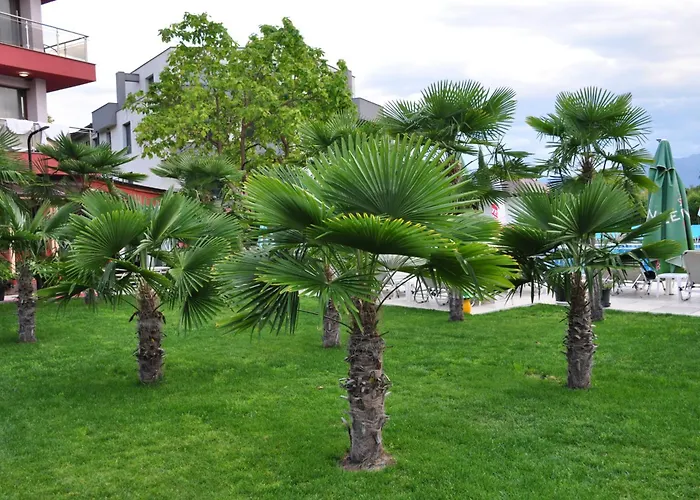 典雅温泉酒店 酒店