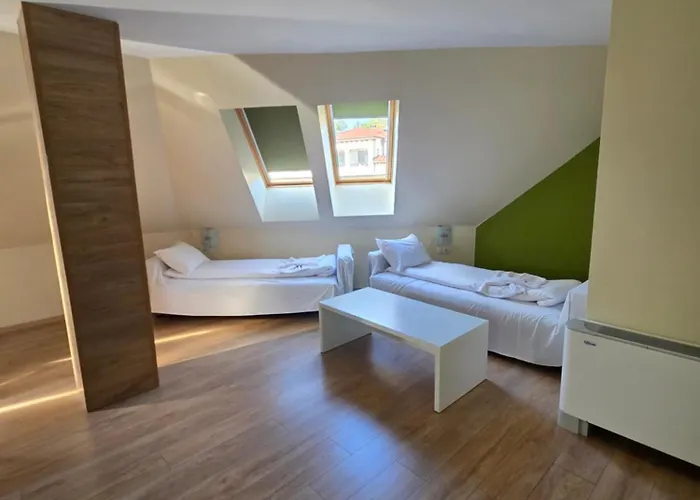 典雅温泉酒店 酒店 3*