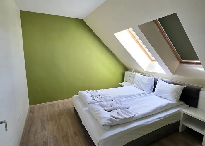 酒店 典雅温泉酒店 奥格尼亚诺沃