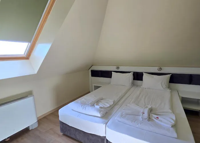 典雅温泉酒店 奥格尼亚诺沃