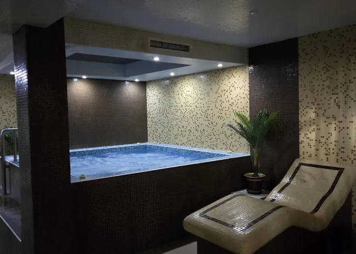 典雅温泉酒店 酒店 3*