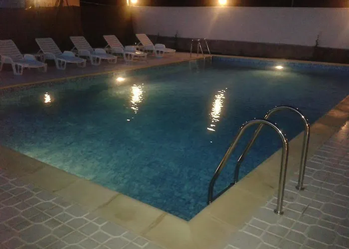 酒店 典雅温泉酒店