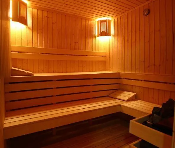 典雅温泉酒店 3*